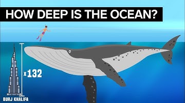 THE OCEAN IS WAY DEEPER THAN YOU THINK