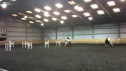 Janet Reeves Indoor Carriage Driving