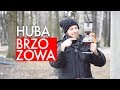 Herbata z hubą brzozową. Przepis na herbatę po Buriacku. Czajnikowy.pl