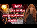 Таро прогноз на НОЯБРЬ 25 для рождённых в мае/Для Тельцов и Близнецов рожденных в мае