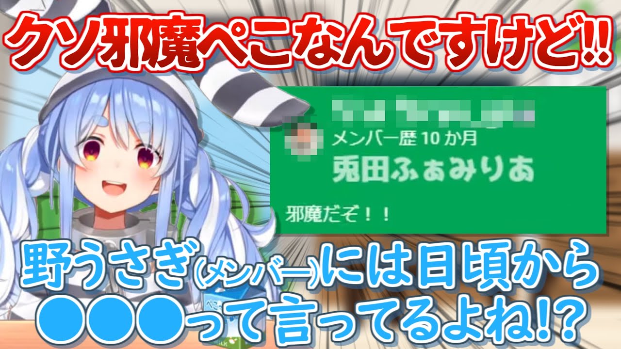 無料スパチャに対して皆が思っていた事を全て言ってくれるぺこちゃんと不可抗力でお叱りを受ける野うさぎ【無料スパチャ ホロライブ 切り抜き 兎田ぺこら 】