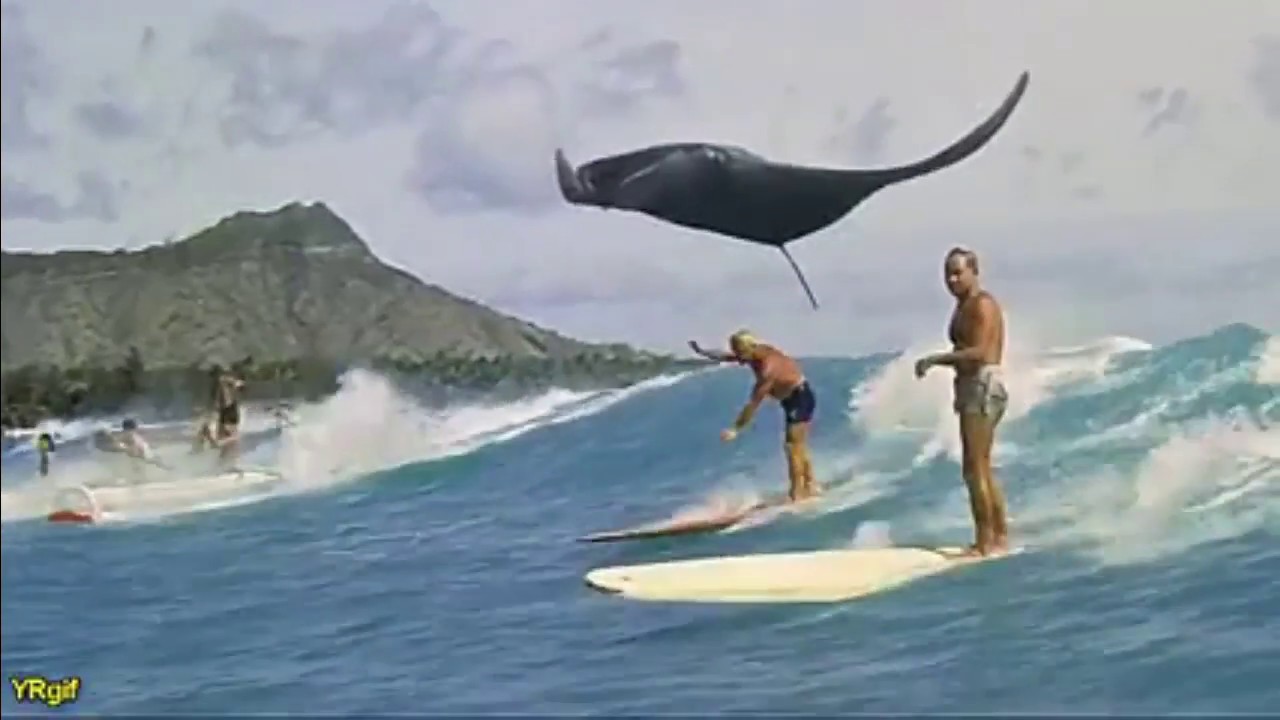 SatoriD Abstract Life & Dreams