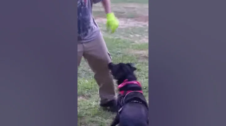 Corwin and Jill at park Summer 2019