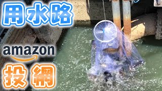 Amazonで買った投網を用水路に入れたらスゴかった！！