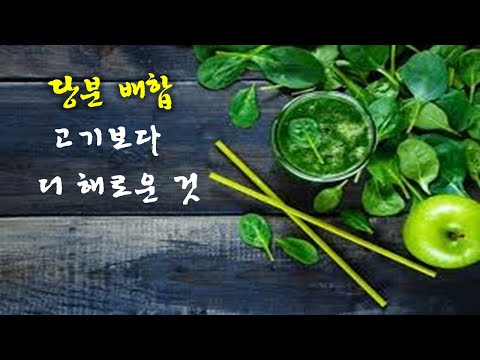 #43 📝설탕은 고기보다 더 해롭다 #채식과 건강식은 다르다  #조직을 막히게 하는 원인