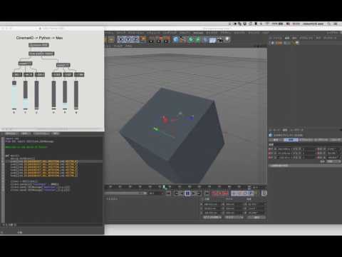 cinema4d+python →osc → max