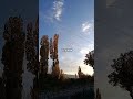 ну патпишись