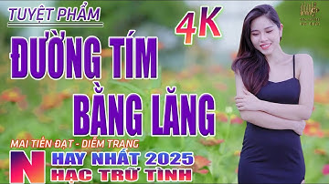 Đường Tím Bằng Lăng, Chiều Sân Ga🛑 Nhạc Trữ Tình Hay Nhất 2025 - Lk Bolero Nhạc Vàng Xưa Bất Hủ