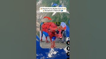 😶‍🌫️I Found Funny Spider Cow 🐄 on google earth and google maps 🌎! #shorts #findwouldexploring