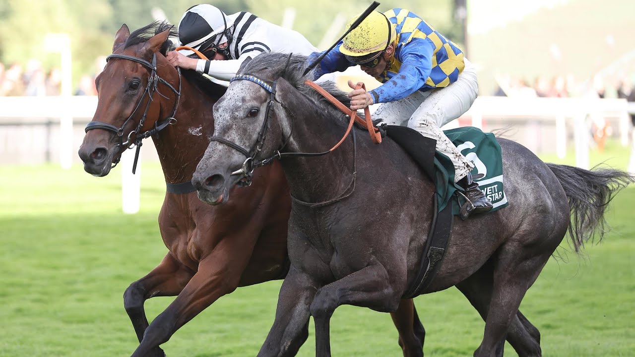 Hamburg: Grosser Preis von Lotto Hamburg 2024 Sieger: Atoso