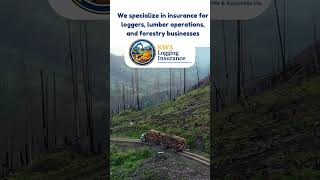 KWA Logging Insurance #logginglife #loggingequipment #logginginsurance