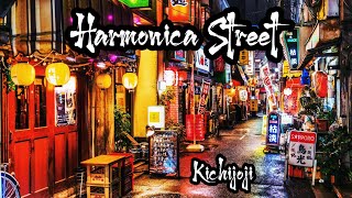 Harmonica Street | Kichijoji | 吉祥寺 | Tokyo | Japan | 日本 | 東京 | city walk |  drinking  Alley| Yokocho