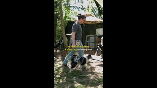 Die Basis für ein funktionierendes Miteinander. #Hundetraining