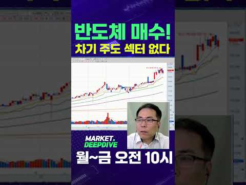 차기 주도 섹터 없다! 조정장은 반도체 매수! #토마토티브이