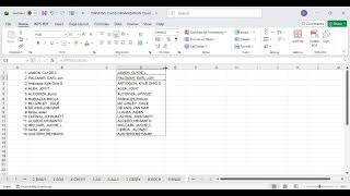 How to make all text UPPER & lower case
