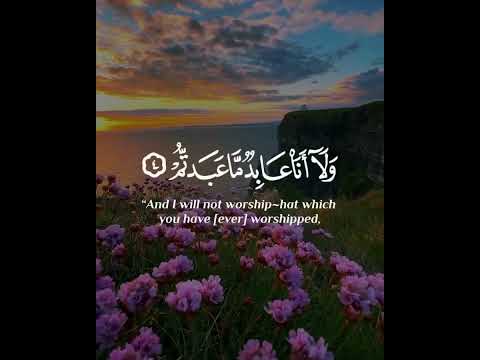 ماتيسر من سورة الكافرون بصوت القارئ للشيخ خالد الجليل قناة القرآن الكريم الرسمية