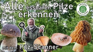 Alle Essbaren Pilze ganz leicht erkennen mit dem sensationellen Pilz Scanner