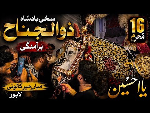 Zuljanah sakhi badshah bramdagi 16 Muharram 