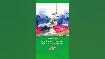 Đồng Tháp: Khuyến khích phát triển ngành chế biến trái cây #nongnghiepmientay