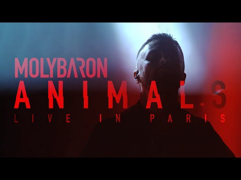 MOLYBARON - Animals (Live At La Boule Noire)