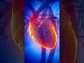 1-Minute Hand-on-Heart Trick to Instantly Calm High BP ❤