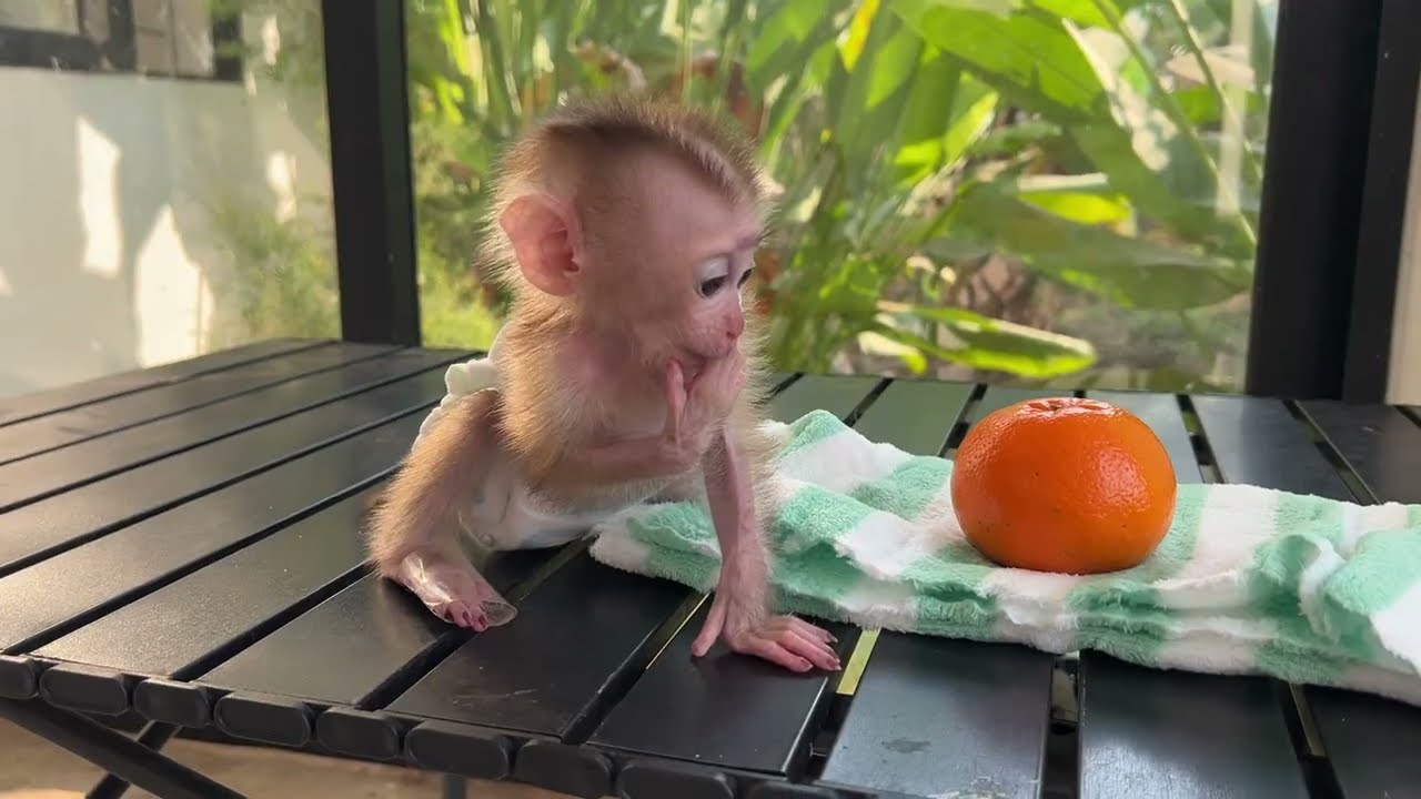 Dad Help me please.🤩🤩