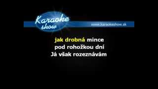 RICHARD MÜLLER - ROZEZNÁVÁM (karaoke ukážka)