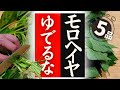 【モロヘイヤ】の美味しい食べ方！驚くほど美味しくなる！