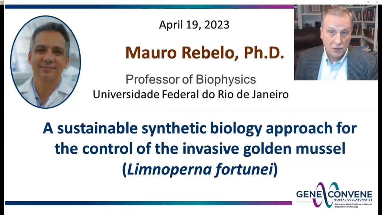 A Sustainable Synthetic Biology Approach to Control Invasive Golden Mussels, Linoperna fortunei