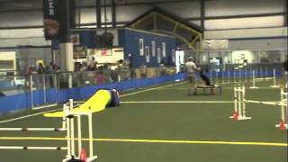 Rosemary Belle Dai Alan Jake Std Sojac Jul 11