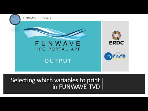 FUNWAVE HPC Portal Application: Input/Output Tab - Outputs Section