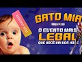 O GATO MIA - PIQUE SE ESCONDE NO FREE FIRE ( Novo modo de jogo ??)