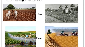 Grade 2 SST Lesson 3: Changing Our Environment