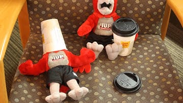 IUP Library Video Contest - "A Place Where You Belong"