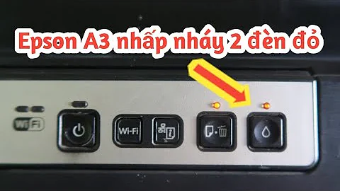 Epson L1800, 1430, 1400, 1390 báo lỗi 2 đèn đỏ nhấp nháy | How to fix error