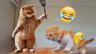 New Funny Animals 😂 Funniest Cats and Dogs Videos 😺🐶 # 49