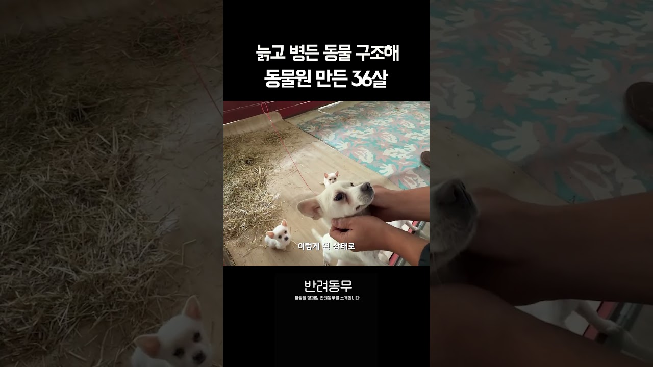 아픈 동물들 구조해 동물원 만든 이유