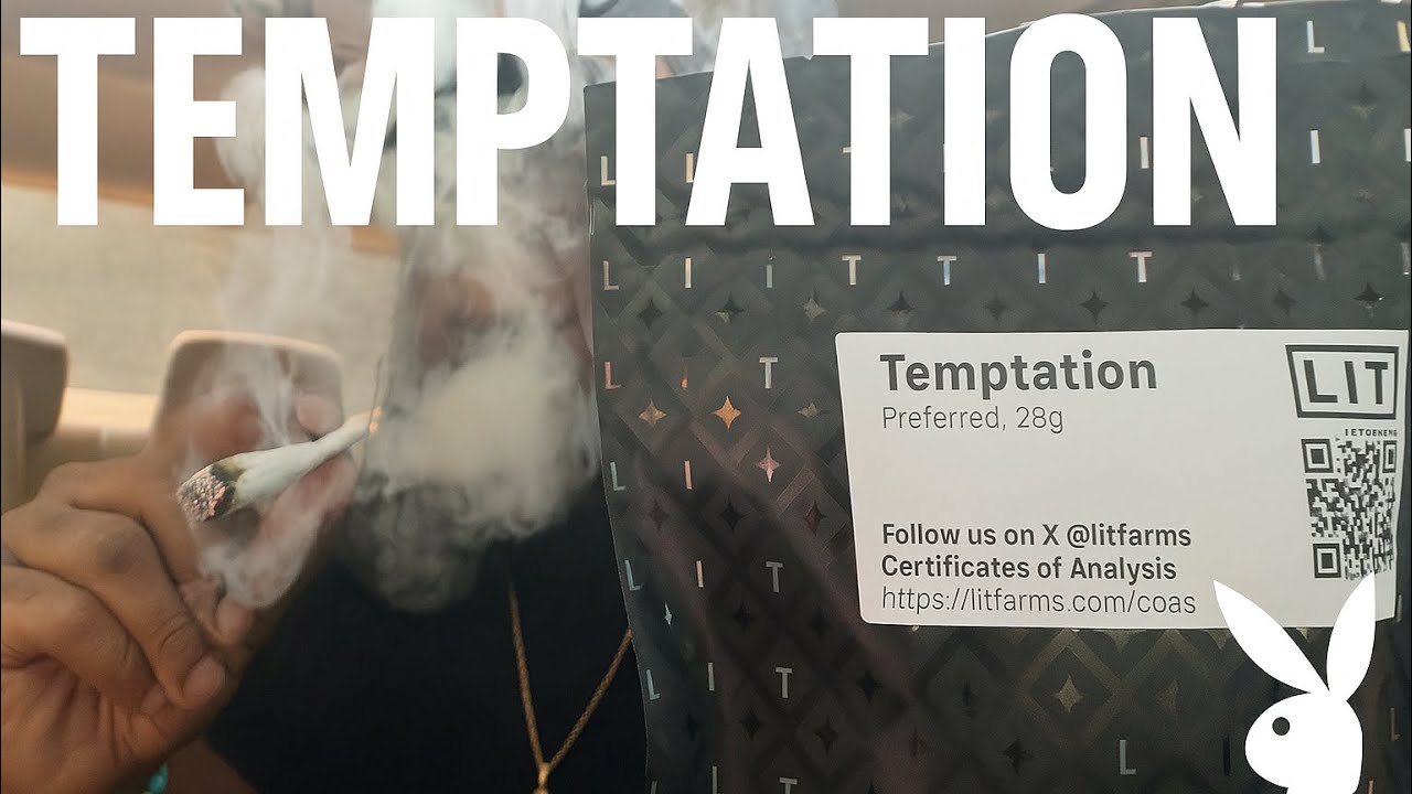 Lit Farms Temptation Preferred Tier Is Pure Fire! 💨 | Full Review & Breakdown 