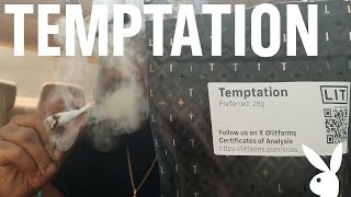 Lit Farms Temptation Preferred Tier Is Pure Fire! 💨 | Full Review & Breakdown #thcareview #litfarms
