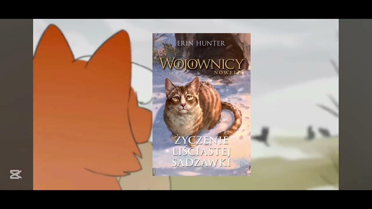 Wojownicy Wszystkie Części Po Kolei kolejność czytania książek wojownicy wszystkie💖 - YouTube