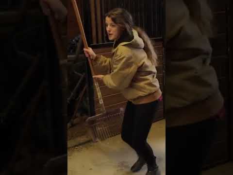 Catching Horse Poop In Midair