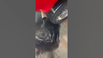 تنظيف الشكمان 