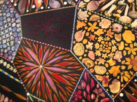 Fred Tomaselli at Brooklyn Museum-1, NYC (Oct. 2010) - YouTube