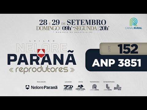 LOTE   152 ANP 3851