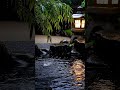 Rainy Mood You Can’t Skip 🌧️ | Calm Your Mind in Seconds Don’t scroll… feel this rain for 10 seconds
