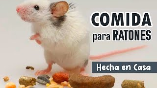 🐭🧀 Como hacer PIENSO o COMIDA CASERA para RATONES DOMESTICOS by Pequeños Roedores 290 views 2 weeks ago 2 minutes, 46 seconds