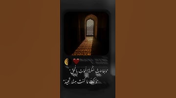 القران الكريم سبحان الله وبحمده سبحان الله العظيم