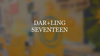 SEVENTEEN (세븐틴) - 'Darl+ing' (Easy Lyrics)