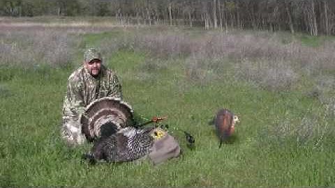 BowCast - Video - Carrying your blind on your back