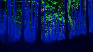 Rome in Reverse: Tzunami